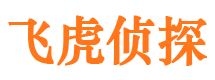 张湾市私家侦探